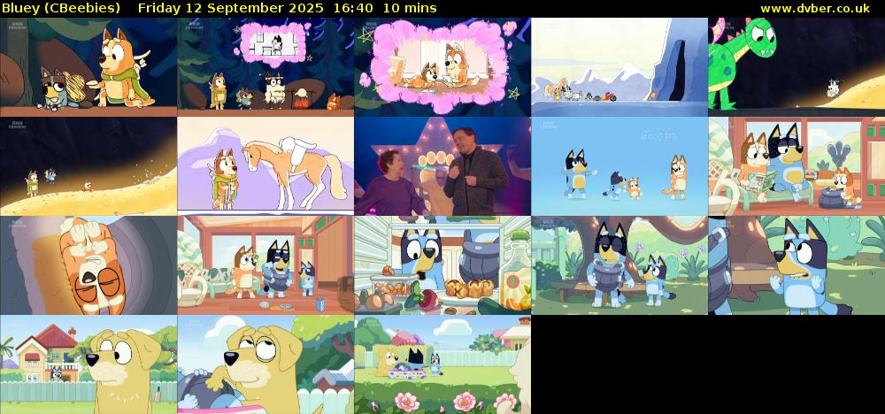 Bluey (CBeebies) Friday 12 September 2025 16:40 - 16:50