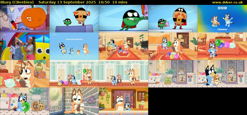 Bluey (CBeebies) Saturday 13 September 2025 16:50 - 17:00