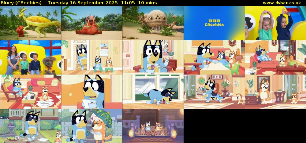 Bluey (CBeebies) Tuesday 16 September 2025 11:05 - 11:15