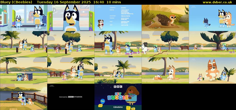 Bluey (CBeebies) Tuesday 16 September 2025 16:40 - 16:50
