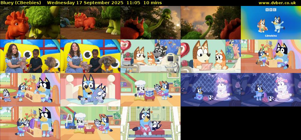 Bluey (CBeebies) Wednesday 17 September 2025 11:05 - 11:15