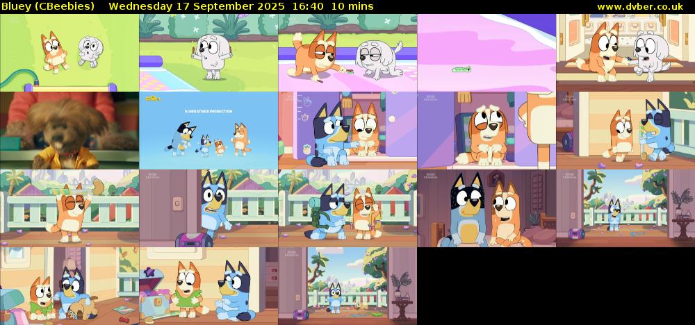 Bluey (CBeebies) Wednesday 17 September 2025 16:40 - 16:50