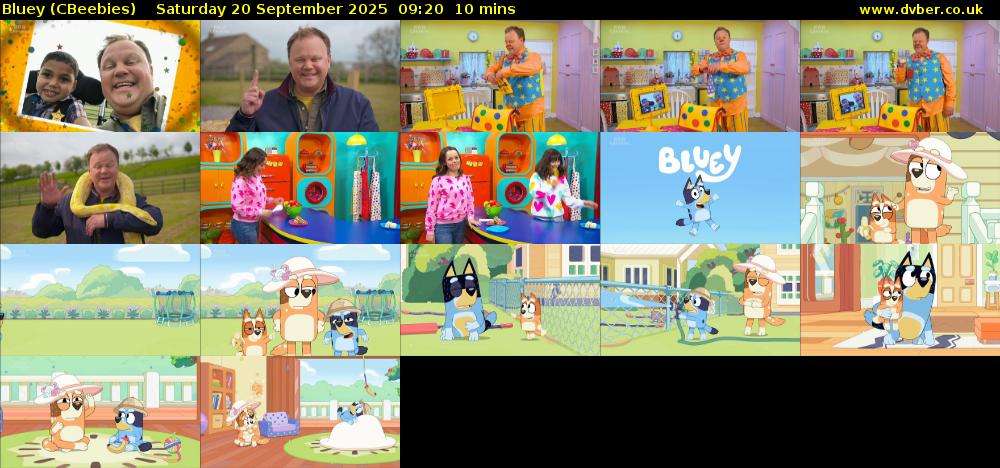 Bluey (CBeebies) Saturday 20 September 2025 09:20 - 09:30