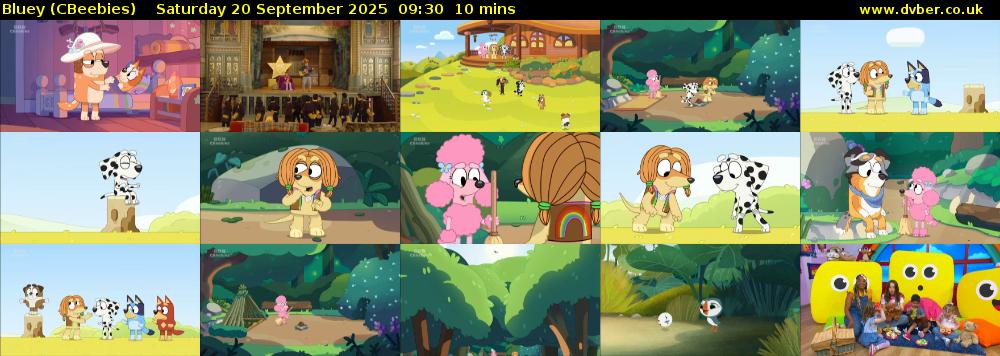 Bluey (CBeebies) Saturday 20 September 2025 09:30 - 09:40