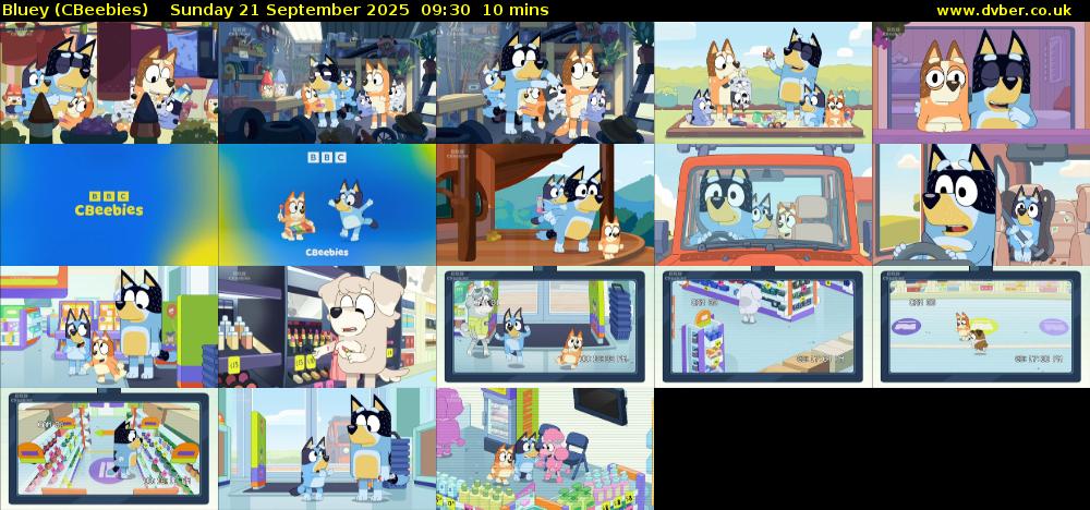 Bluey (CBeebies) Sunday 21 September 2025 09:30 - 09:40