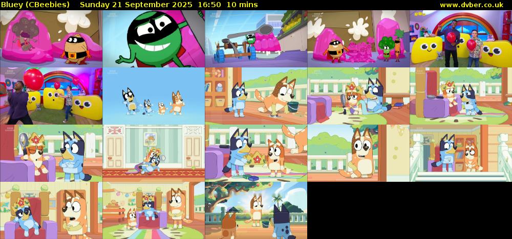 Bluey (CBeebies) Sunday 21 September 2025 16:50 - 17:00