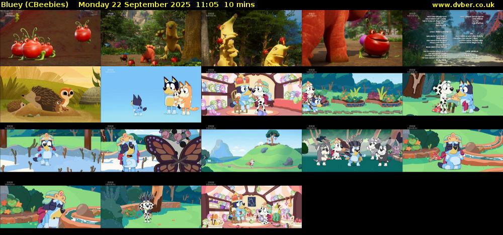 Bluey (CBeebies) Monday 22 September 2025 11:05 - 11:15