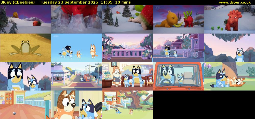 Bluey (CBeebies) Tuesday 23 September 2025 11:05 - 11:15