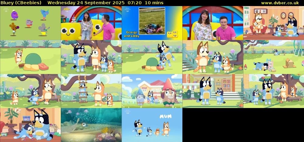 Bluey (CBeebies) Wednesday 24 September 2025 07:20 - 07:30