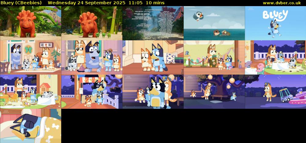 Bluey (CBeebies) Wednesday 24 September 2025 11:05 - 11:15