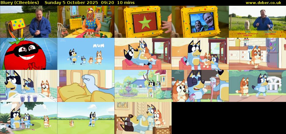 Bluey (CBeebies) Sunday 5 October 2025 09:20 - 09:30