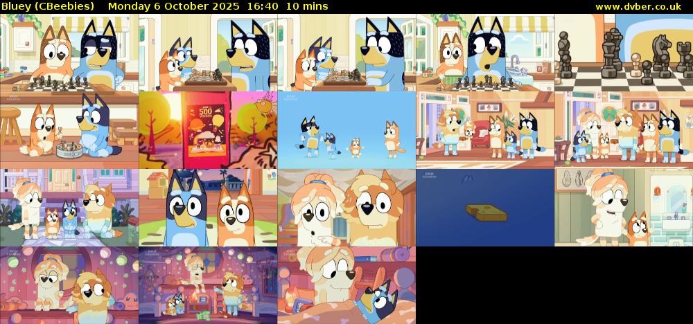 Bluey (CBeebies) Monday 6 October 2025 16:40 - 16:50