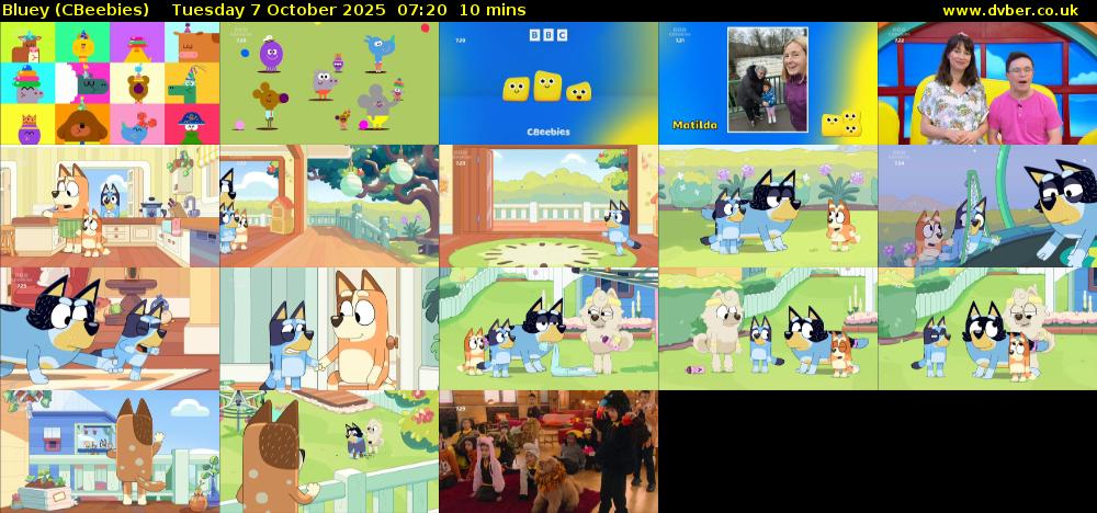 Bluey (CBeebies) Tuesday 7 October 2025 07:20 - 07:30