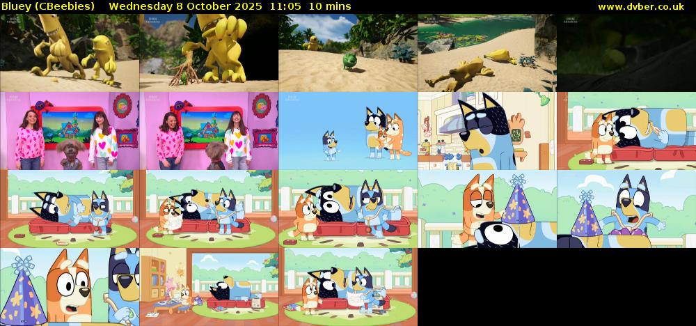 Bluey (CBeebies) Wednesday 8 October 2025 11:05 - 11:15