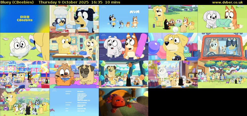 Bluey (CBeebies) Thursday 9 October 2025 16:35 - 16:45
