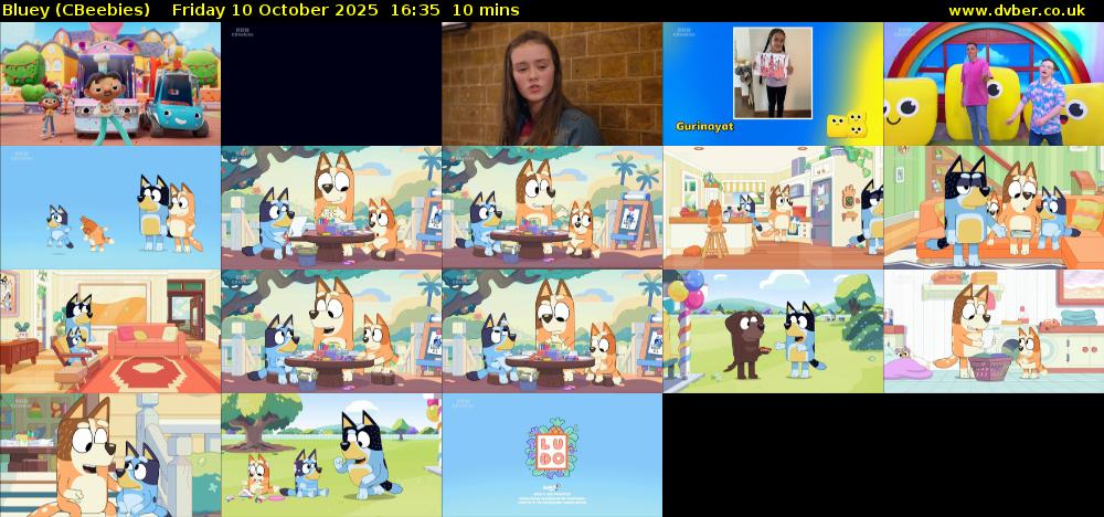 Bluey (CBeebies) Friday 10 October 2025 16:35 - 16:45