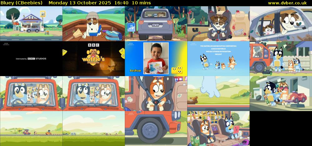 Bluey (CBeebies) Monday 13 October 2025 16:40 - 16:50