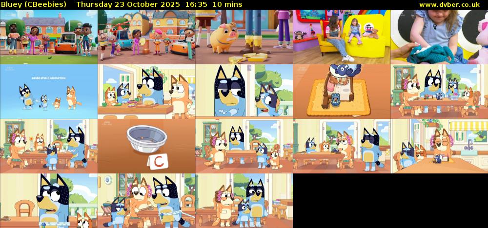 Bluey (CBeebies) Thursday 23 October 2025 16:35 - 16:45