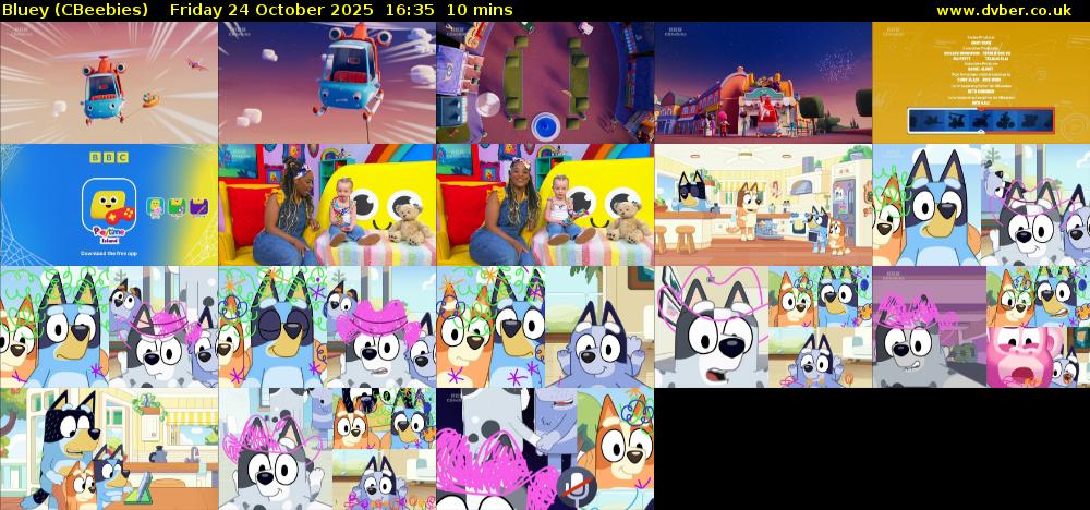 Bluey (CBeebies) Friday 24 October 2025 16:35 - 16:45