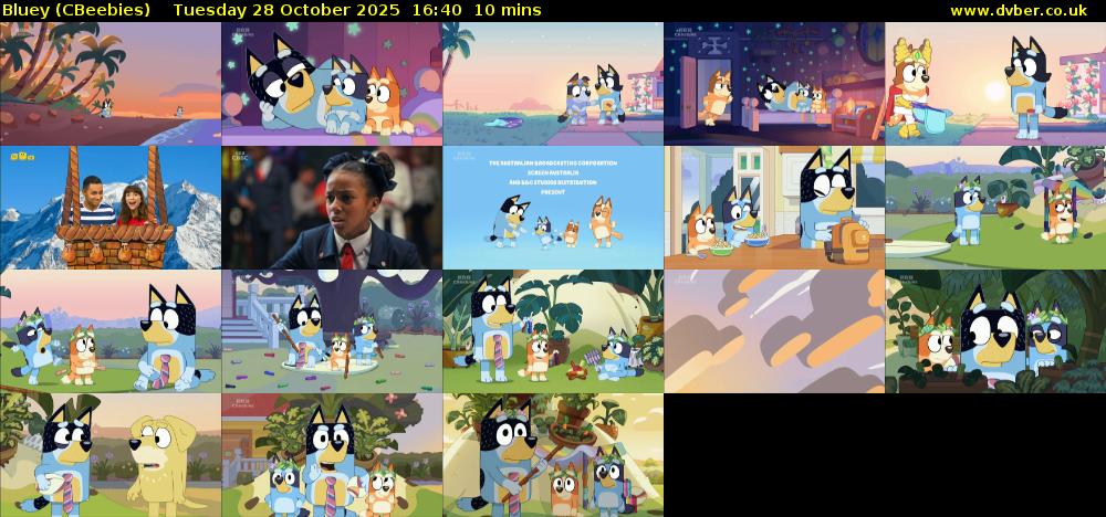 Bluey (CBeebies) Tuesday 28 October 2025 16:40 - 16:50