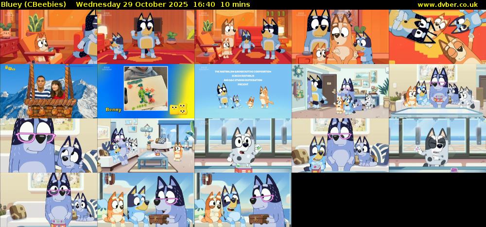 Bluey (CBeebies) Wednesday 29 October 2025 16:40 - 16:50