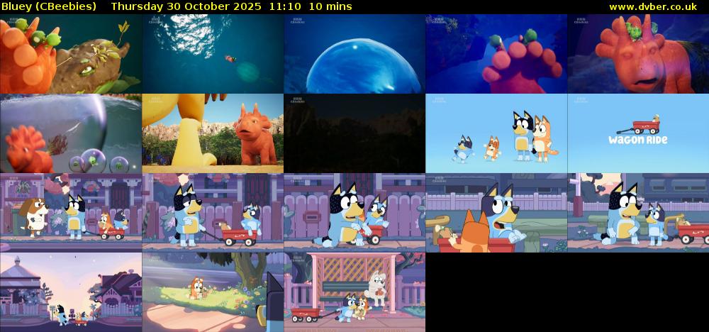 Bluey (CBeebies) Thursday 30 October 2025 11:10 - 11:20