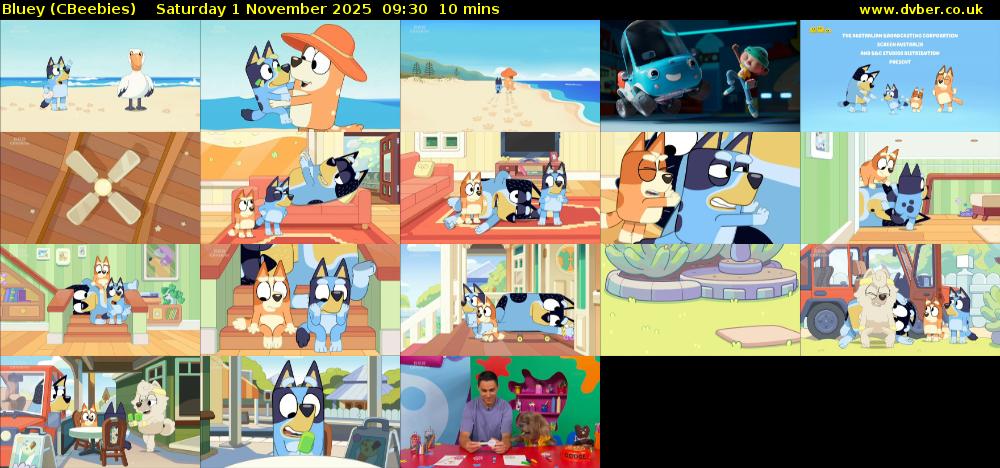 Bluey (CBeebies) Saturday 1 November 2025 09:30 - 09:40