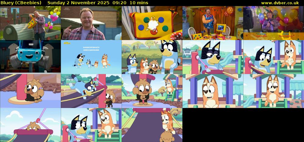 Bluey (CBeebies) Sunday 2 November 2025 09:20 - 09:30