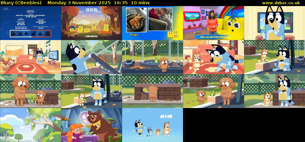Bluey (CBeebies) Monday 3 November 2025 16:35 - 16:45