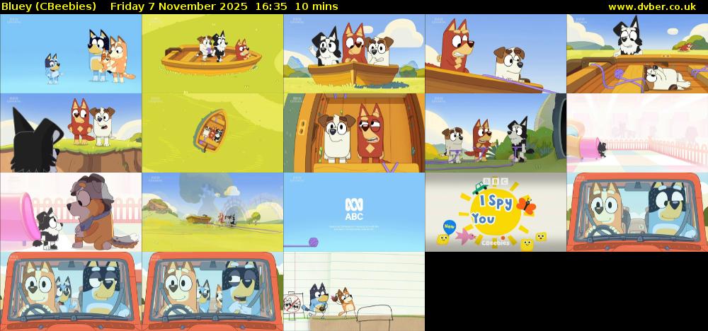 Bluey (CBeebies) Friday 7 November 2025 16:35 - 16:45