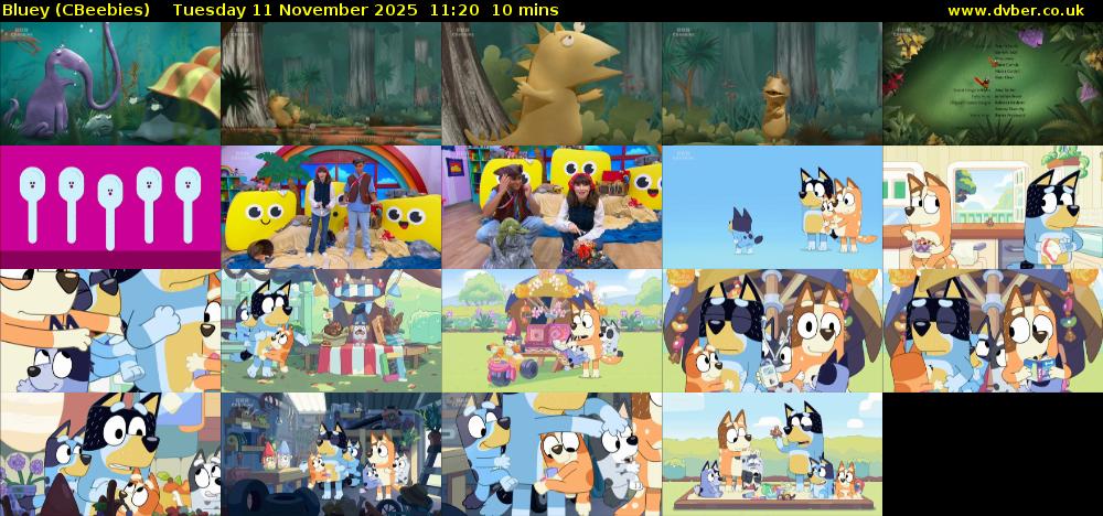 Bluey (CBeebies) Tuesday 11 November 2025 11:20 - 11:30