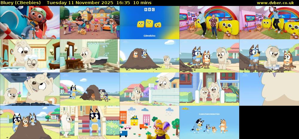 Bluey (CBeebies) Tuesday 11 November 2025 16:35 - 16:45