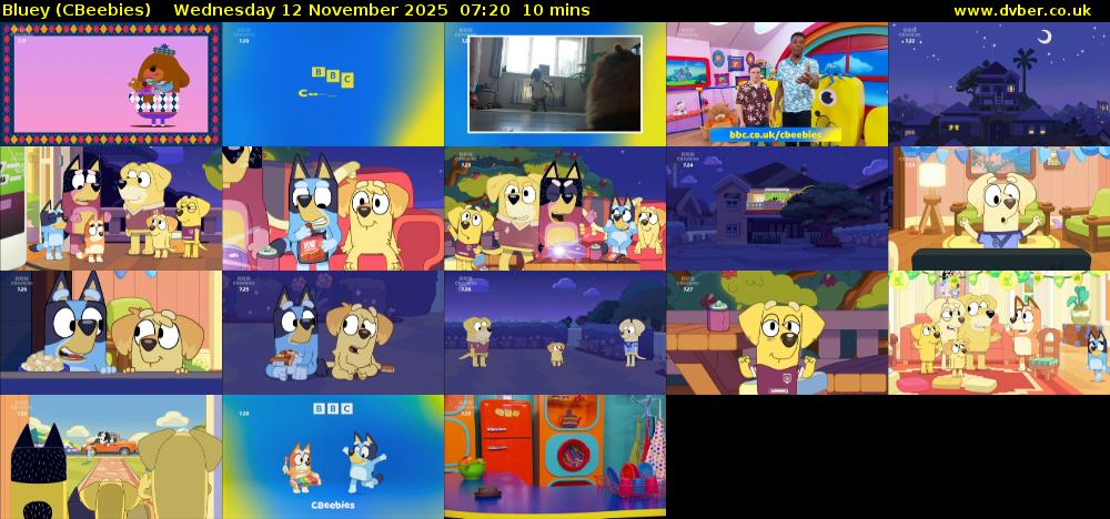 Bluey (CBeebies) Wednesday 12 November 2025 07:20 - 07:30