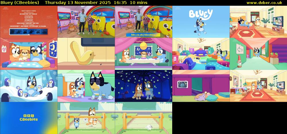 Bluey (CBeebies) Thursday 13 November 2025 16:35 - 16:45