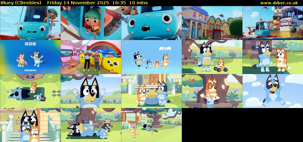 Bluey (CBeebies) Friday 14 November 2025 16:35 - 16:45