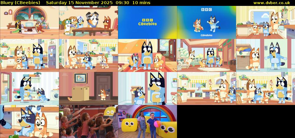 Bluey (CBeebies) Saturday 15 November 2025 09:30 - 09:40