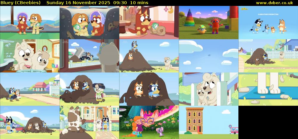 Bluey (CBeebies) Sunday 16 November 2025 09:30 - 09:40