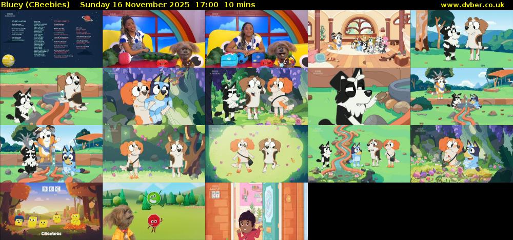 Bluey (CBeebies) Sunday 16 November 2025 17:00 - 17:10