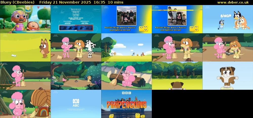 Bluey (CBeebies) Friday 21 November 2025 16:35 - 16:45