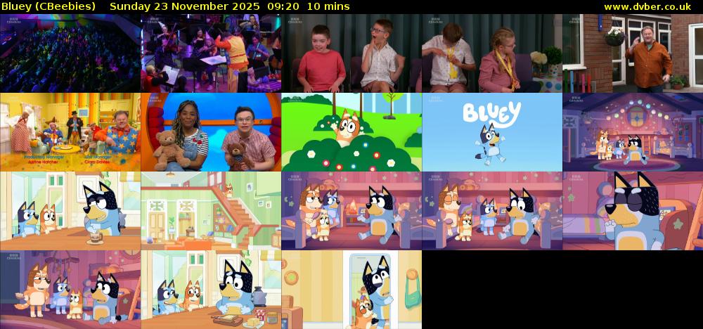 Bluey CBeebies 2025 11 23 0920 bluey-cbeebies-2025-11-23-0920