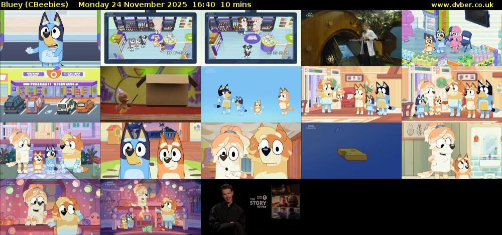 Bluey (CBeebies) Monday 24 November 2025 16:40 - 16:50