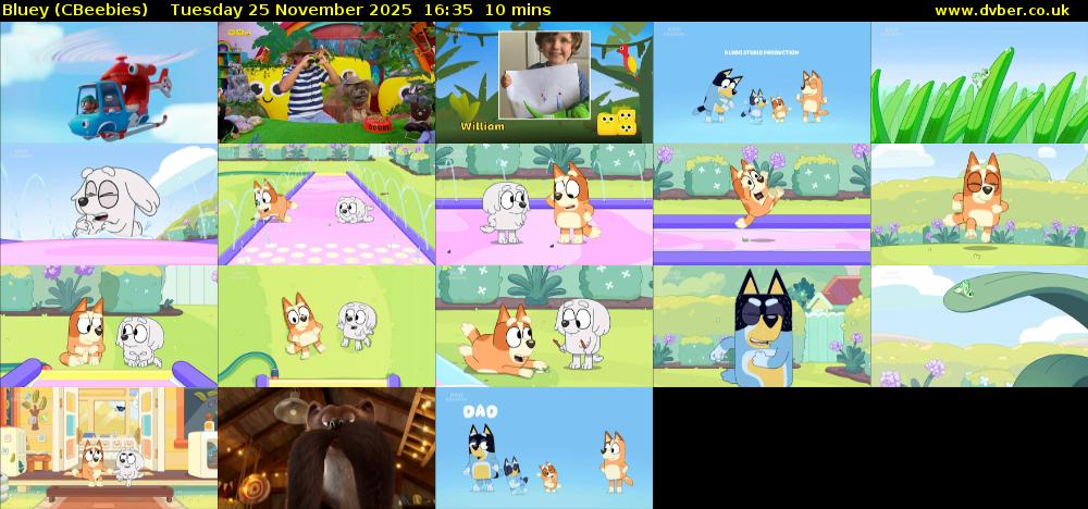 Bluey (CBeebies) Tuesday 25 November 2025 16:35 - 16:45