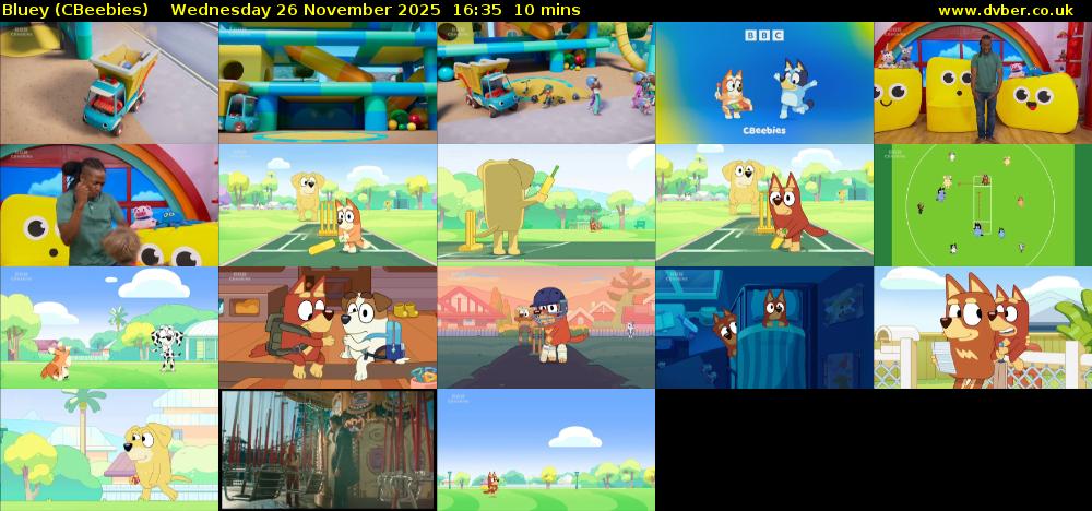 Bluey (CBeebies) Wednesday 26 November 2025 16:35 - 16:45