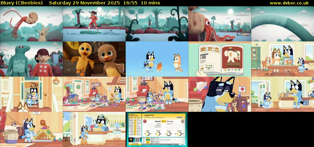 Bluey (CBeebies) Saturday 29 November 2025 16:55 - 17:05