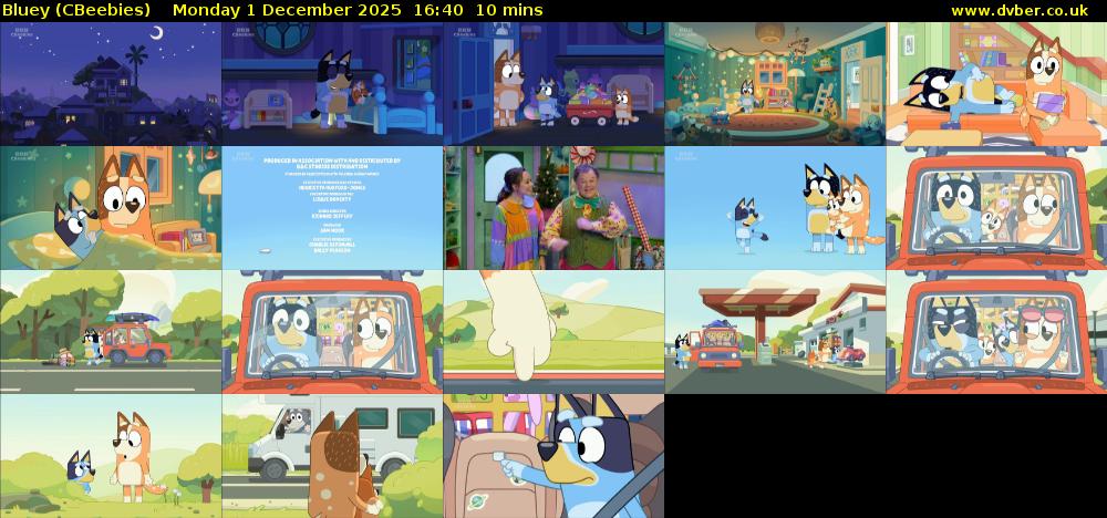 Bluey (CBeebies) Monday 1 December 2025 16:40 - 16:50