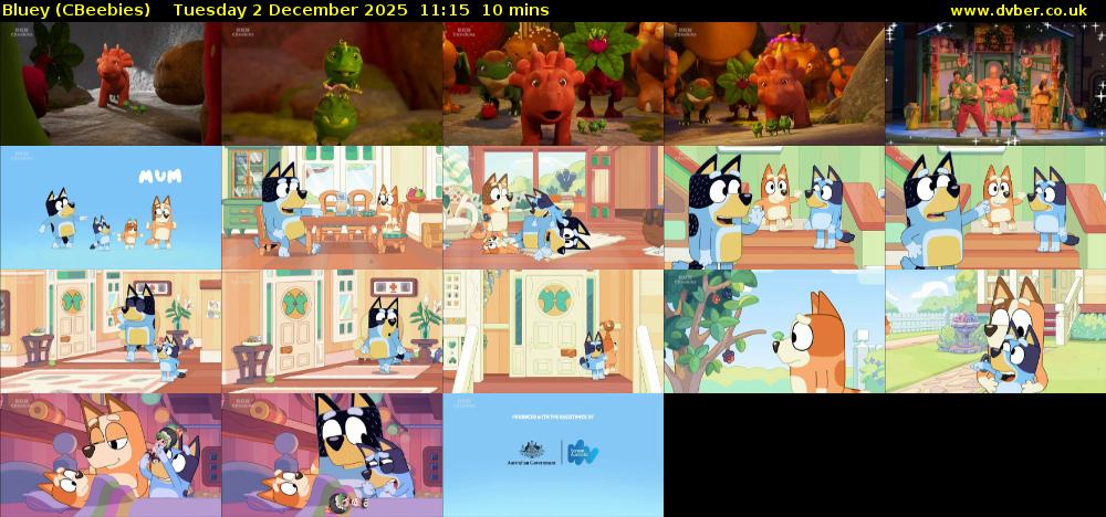 Bluey (CBeebies) Tuesday 2 December 2025 11:15 - 11:25