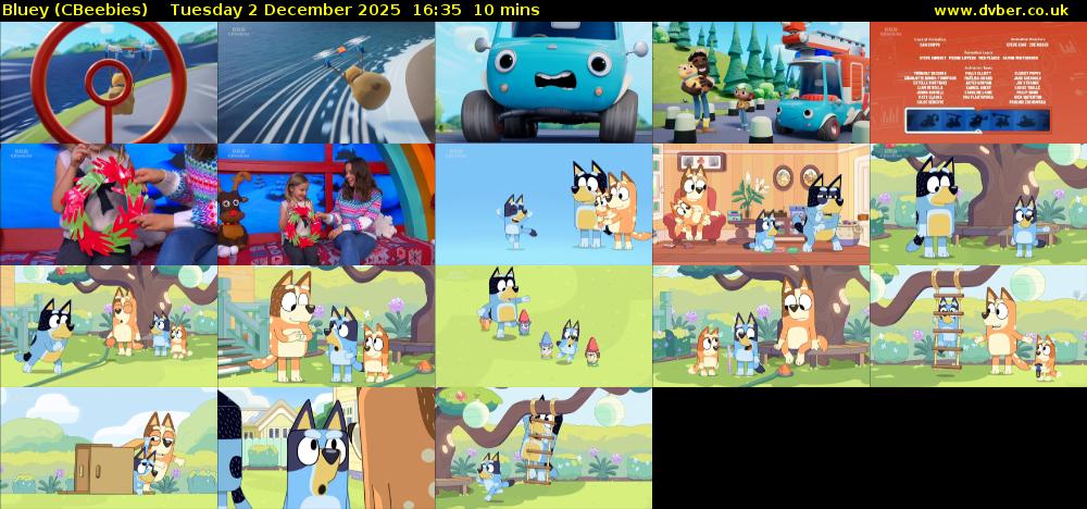 Bluey (CBeebies) Tuesday 2 December 2025 16:35 - 16:45