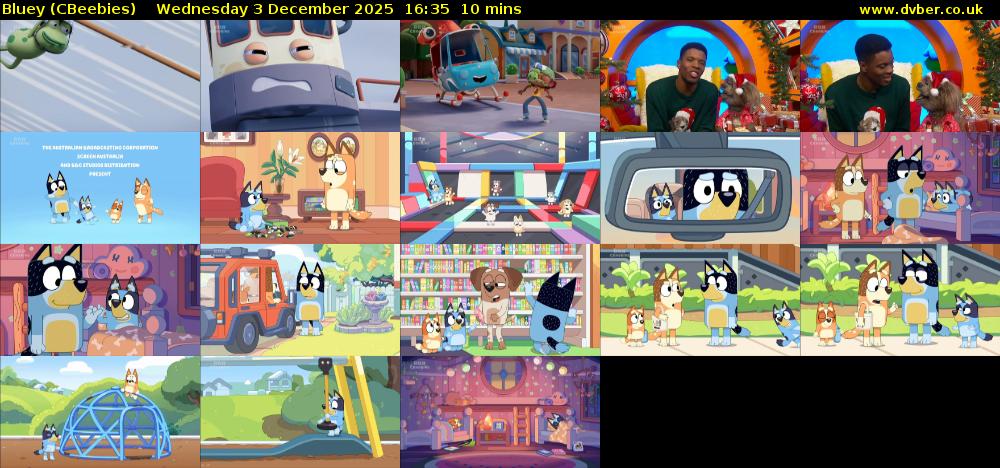 Bluey (CBeebies) Wednesday 3 December 2025 16:35 - 16:45