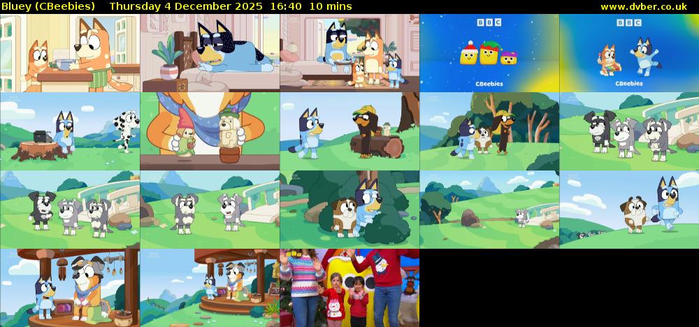 Bluey (CBeebies) Thursday 4 December 2025 16:40 - 16:50