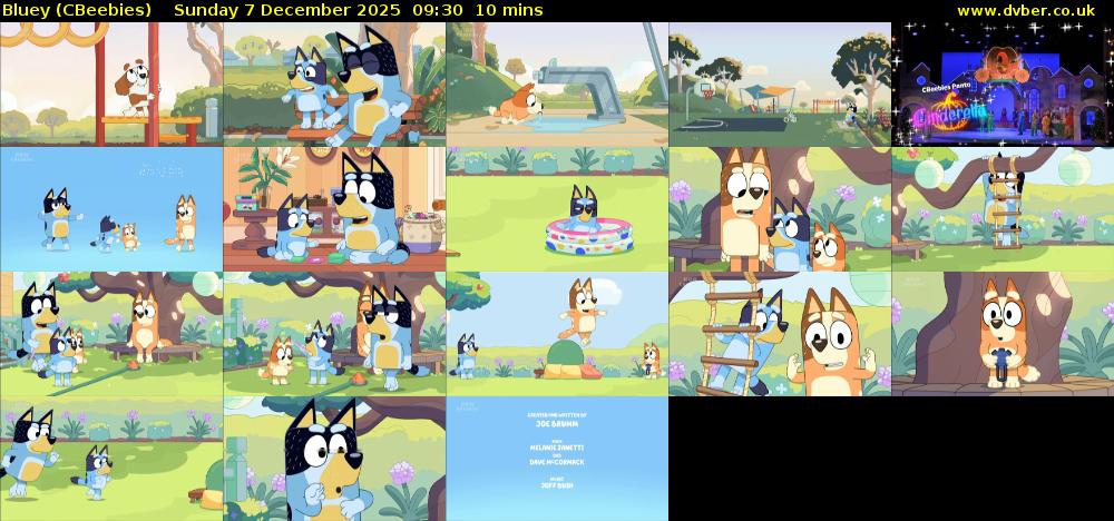 Bluey (CBeebies) Sunday 7 December 2025 09:30 - 09:40